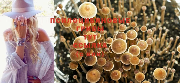 spice Балабаново