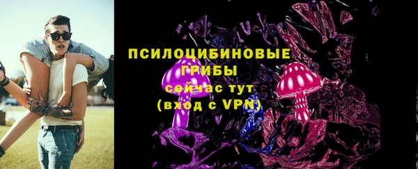 дмт Снежинск